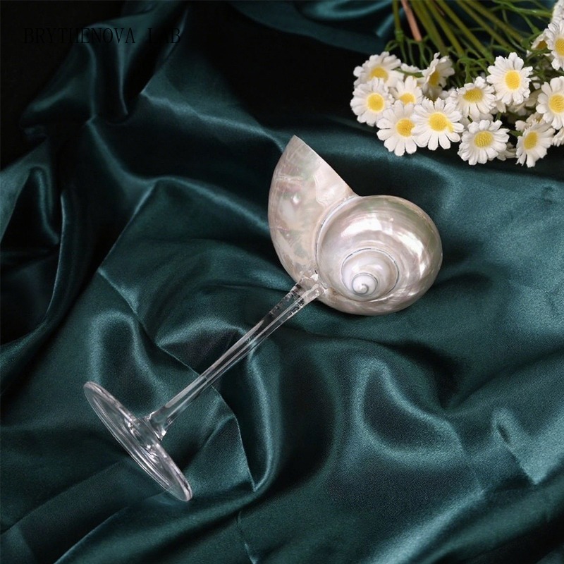 Lighting Glass Photography - كأس شمبانيا فاخر على شكل صدفة