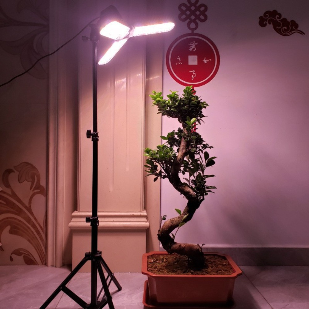 حامل لمبة الضوء 2 متر، مقبس تي - مراجعة Lighting In Photography Studio وسعره