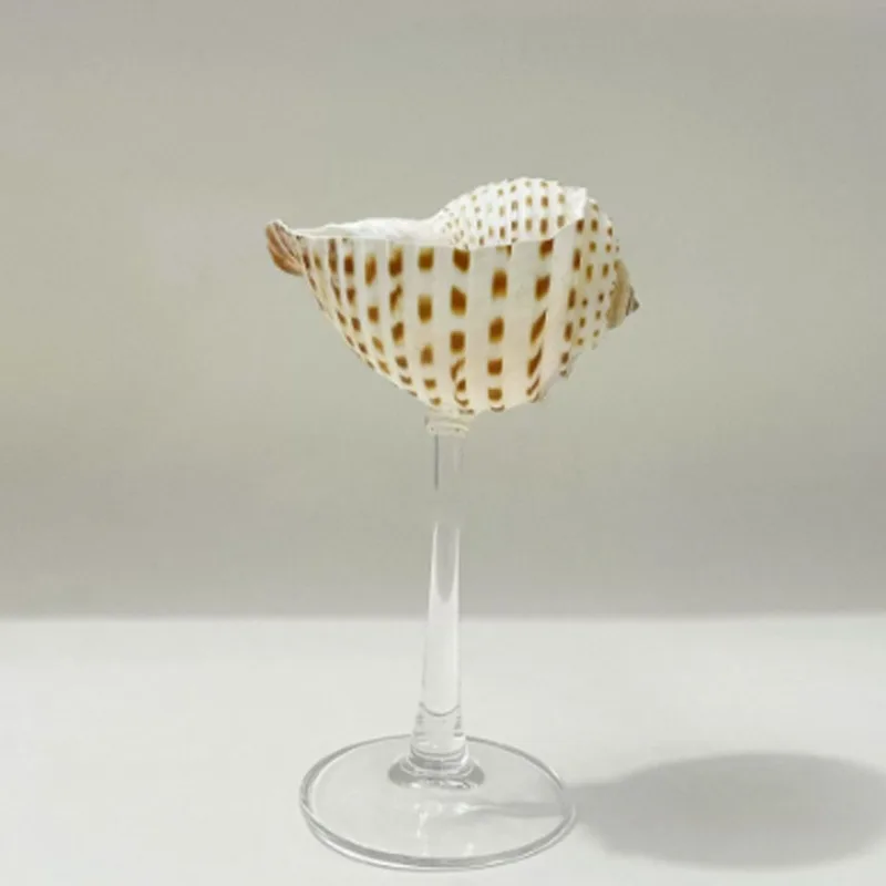 كأس شمبانيا فاخر على شكل صدفة  - مراجعة Lighting Glass Photography وسعره