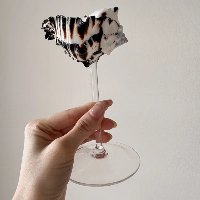 كأس شمبانيا فاخر على شكل صدفة  - مراجعة Lighting Glass Photography وسعره